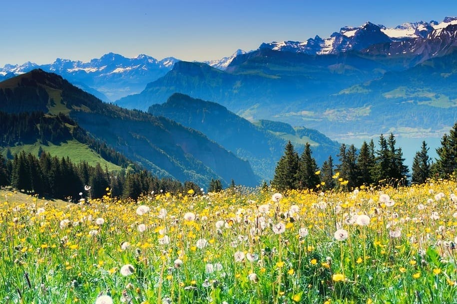 Alperna är en bergskedja som ligger på gränsen mellan Frankrike i sydväst, Italien, Schweiz, Liechtenstein, Tyskland, Slovenien och Österrike i öst