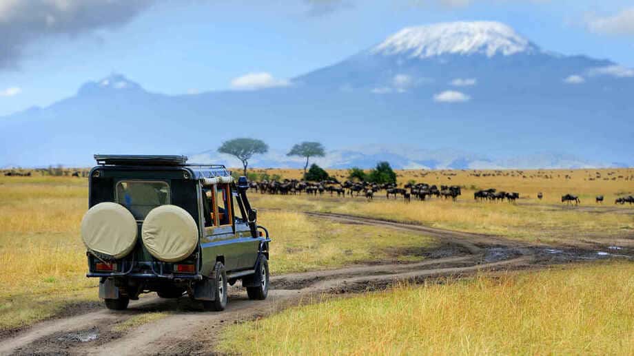 Hur kan en klassisk safariresa se ut?